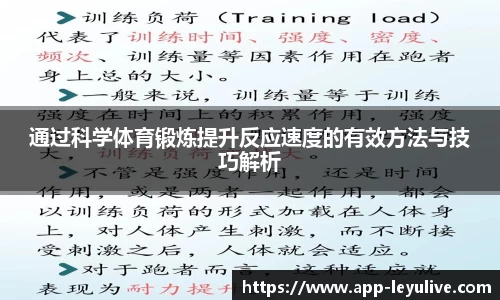 乐鱼真人官网